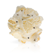 Way Too Expensive White Truffle